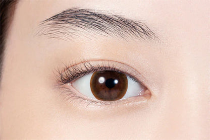LilMoon Chocolate (DAILY/10P) - MASHED POTATO UK | Colour Contact Lens