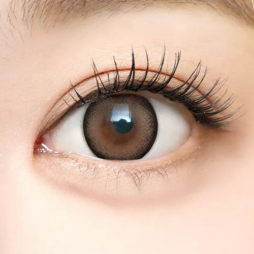 i-SHA Dekame Look At Me Brown (3-6 Month/1 Piece)-MASHED POTATO UK | Colour Contact Lens
