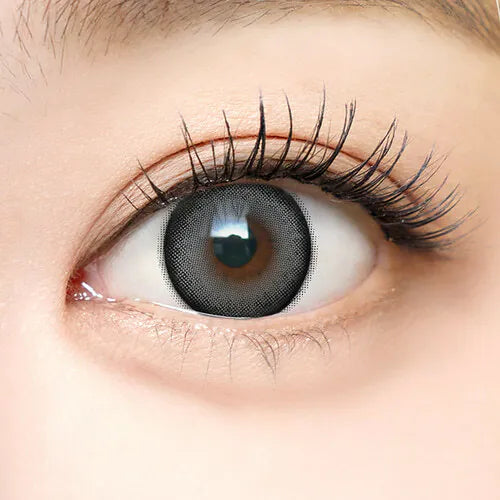 i-SHA Dekame Look At Me Gray (DAILY/10P)-MASHED POTATO UK | Colour Contact Lens