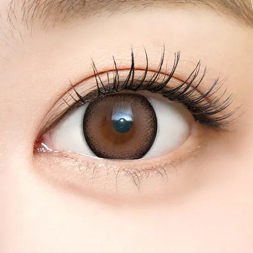 i-SHA Dekame Look At Me Sand (DAILY/10P)-MASHED POTATO UK | Colour Contact Lens