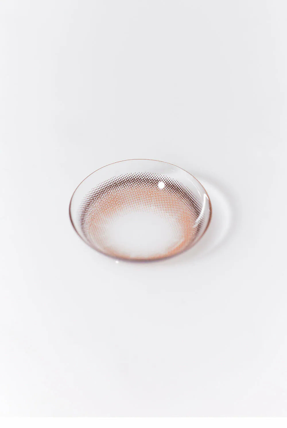 Hapa Kristin Cosmo Kristin Brown (DAILY/10P)