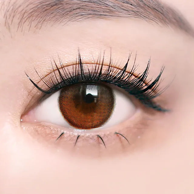 i-SHA Oriana Shade Brown (DAILY/10P)-MASHED POTATO UK | Colour Contact Lens