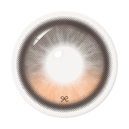 i-SHA Reborn Oak Haz (Month/1 Piece)-MASHED POTATO UK | Colour Contact Lens