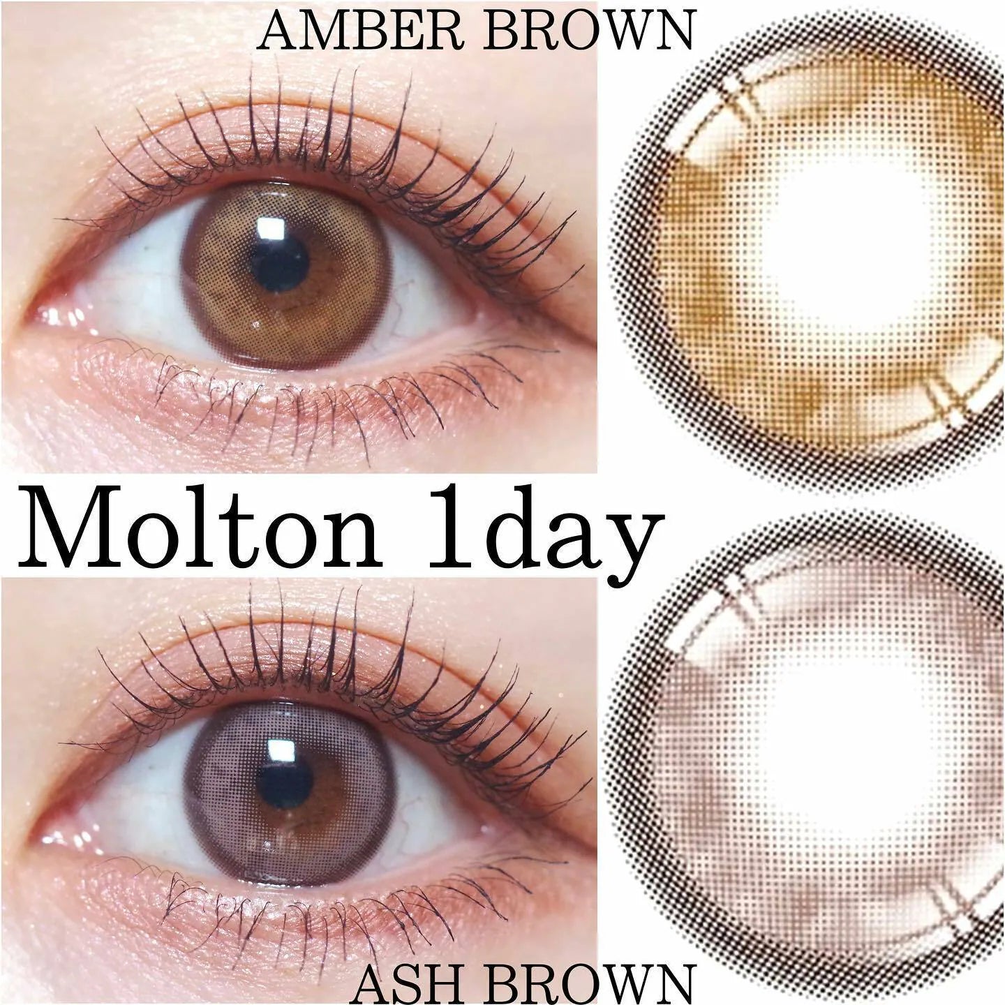 i-SHA Oriana Molton Amber Brown (YEAR/1 Piece)-MASHED POTATO UK | Colour Contact Lens