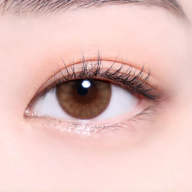 i-SHA Oriana Serenity Brown (DAILY/10P)-MASHED POTATO UK | Colour Contact Lens