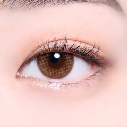 i-SHA Oriana Serenity Brown (DAILY/10P)-MASHED POTATO UK | Colour Contact Lens