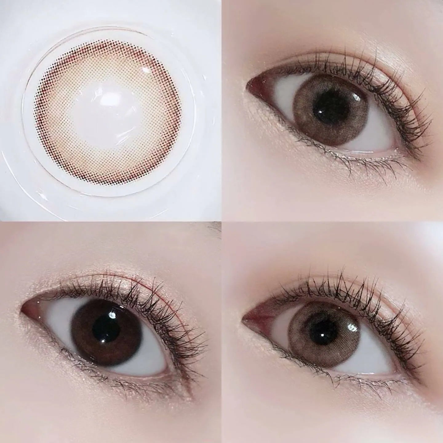 i-SHA Oriana Serenity Brown (DAILY/10P)-MASHED POTATO UK | Colour Contact Lens