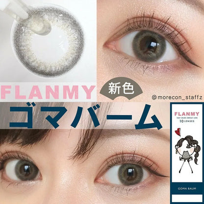 Flanmy Goma Baum (DAILY/10P)-MASHED POTATO UK | Colour Contact Lens