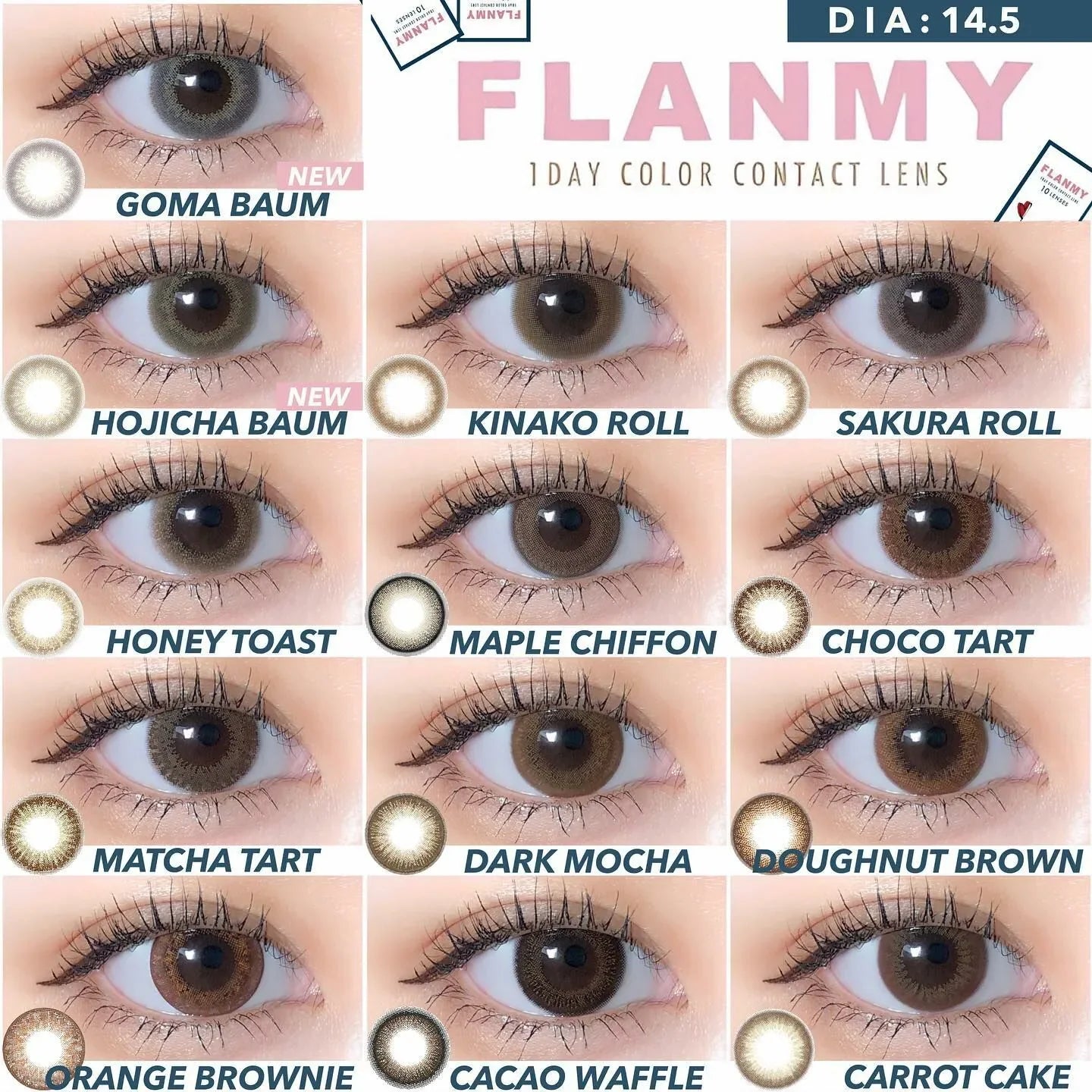 Flanmy Goma Baum (DAILY/10P)-MASHED POTATO UK | Colour Contact Lens