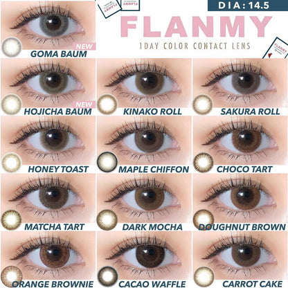 Flanmy Goma Baum (DAILY/10P)-MASHED POTATO UK | Colour Contact Lens