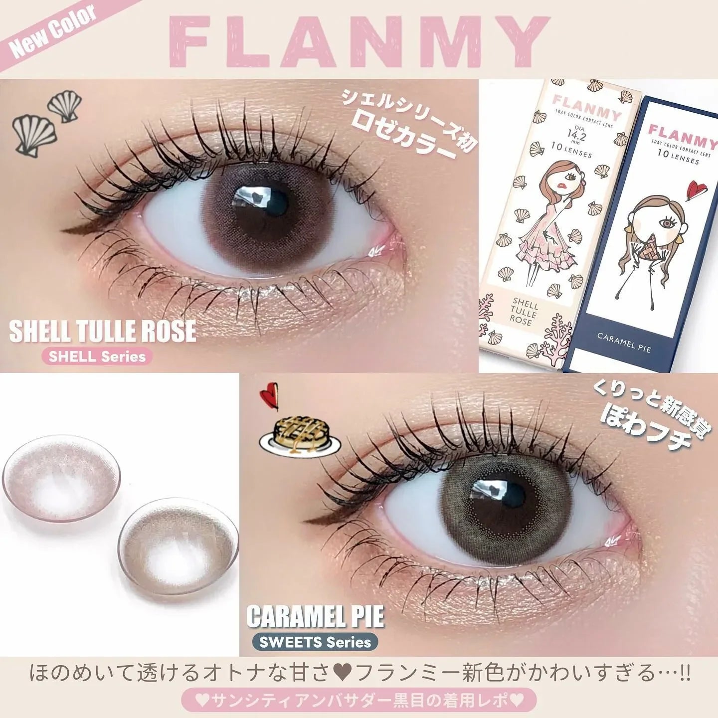 Flanmy Shell Tulle Rose (DAILY/10P)-MASHED POTATO UK | Colour Contact Lens