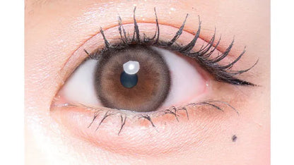 Flurry Ring Large Brown (DAILY/10P)-MASHED POTATO UK | Colour Contact Lens