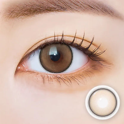 i-SHA Dekame Hug Me Brown (DAILY/10P)-MASHED POTATO UK | Colour Contact Lens