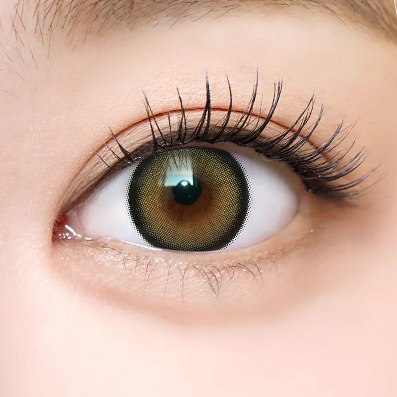 i-SHA Dekame Love Me Cashewnut (DAILY/10P)-MASHED POTATO UK | Colour Contact Lens