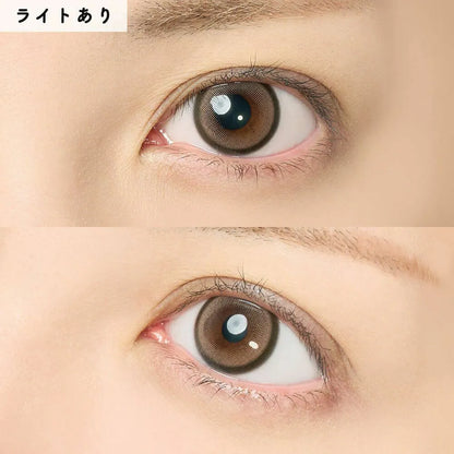 Honey Kiss Chulun Chocolate Gray (DAILY/10P)-MASHED POTATO UK | Colour Contact Lens