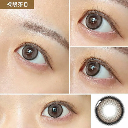Honey Kiss Chulun Chocolate Gray (DAILY/10P)-MASHED POTATO UK | Colour Contact Lens