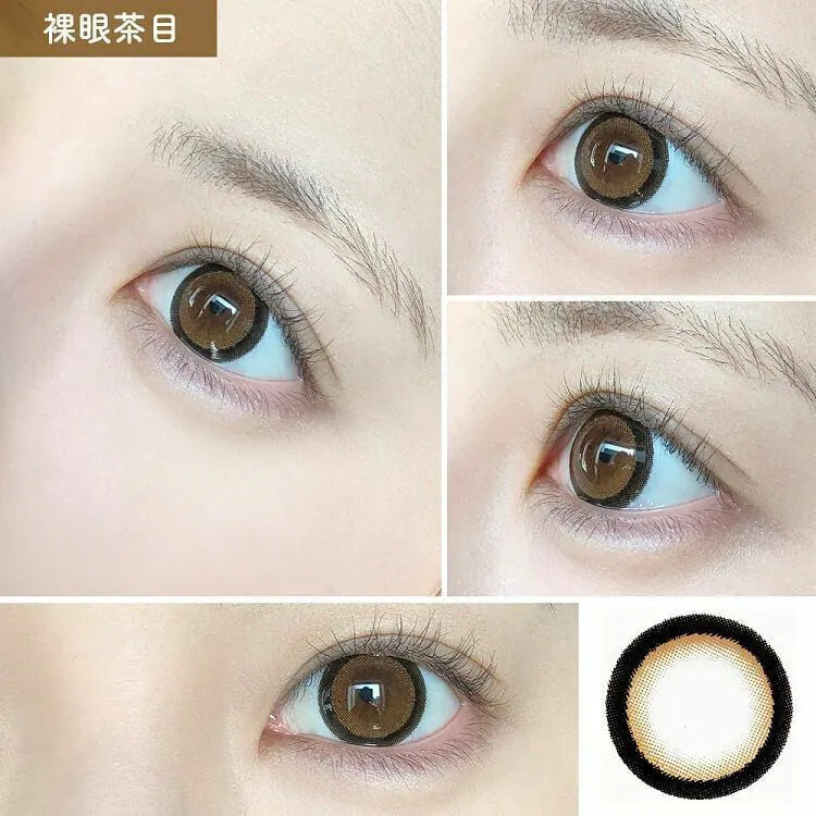 Honey Kiss Chulun Brown (DAILY/10P)-MASHED POTATO UK | Colour Contact Lens
