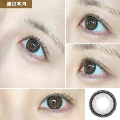 Honey Kiss Chulun Gray (DAILY/10P)-MASHED POTATO UK | Colour Contact Lens