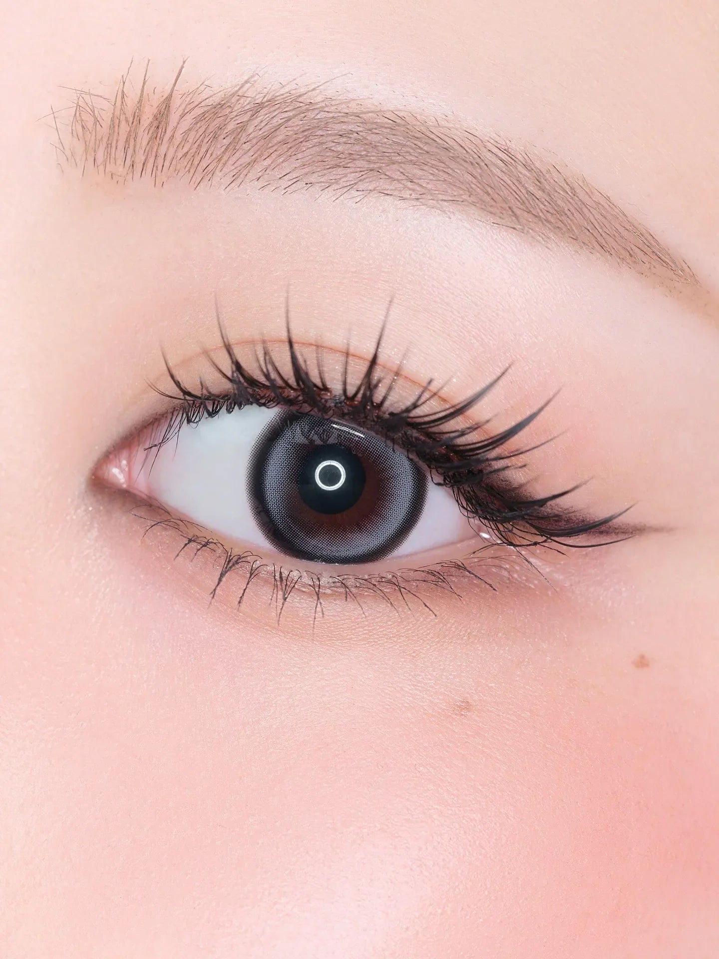 Hapa Kristin Cat-titude Sapphire Gray (DAILY/10P)-MASHED POTATO UK | Colour Contact Lens