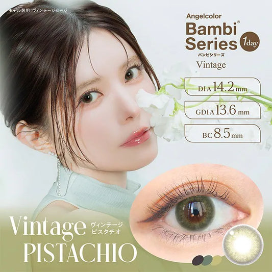 Angelcolor Bambi Series Vintage Pistachio (DAILY/10P)
