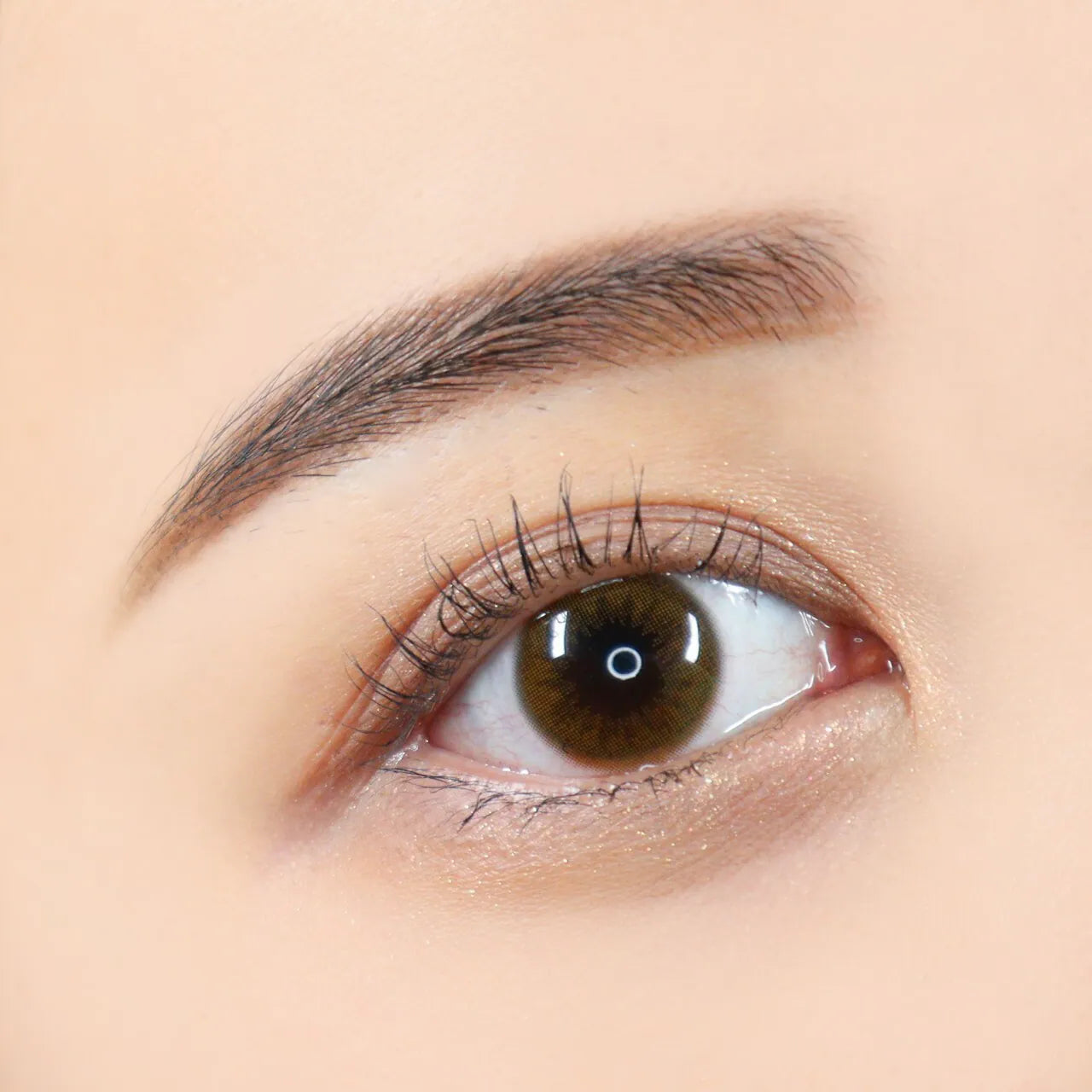 LENSME Noble Mystic Real Some Brown (DAILY/30P)