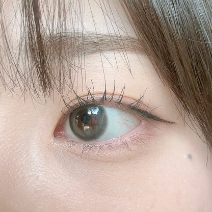 LENSME NUO Gray (DAILY/30P)