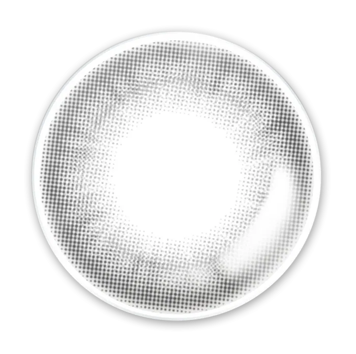 LENSME Akma Velyshe Gray (DAILY/30P)