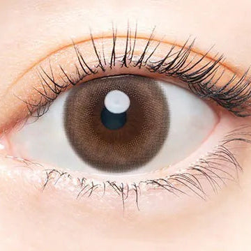 Angelcolor Bambi Series Vintage Classic (DAILY/10P)