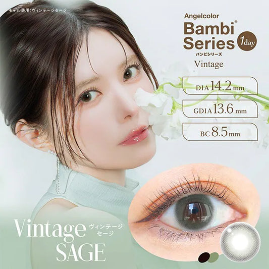 Angelcolor Bambi Series Vintage Sage (DAILY/10P)