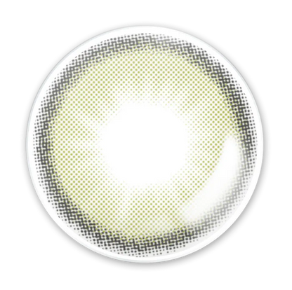 LENSME YOUS Fit Olive (DAILY/10P)