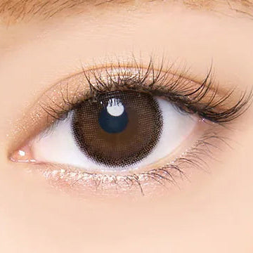 Angelcolor Bambi Series Natural Pure Brown (DAILY/10P)