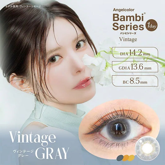 Angelcolor Bambi Series Vintage Gray (DAILY/10P)