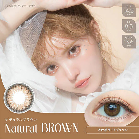 Angelcolor Bambi Series Natural Brown (DAILY/20P)-MASHED POTATO UK | Colour Contact Lens