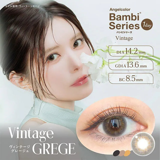 Angelcolor Bambi Series Vintage Greige (DAILY/10P)-MASHED POTATO UK | Colour Contact Lens
