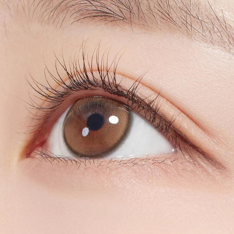 Hapa Kristin First Love Kristin Brown (DAILY/10P) - MASHED POTATO UK | Colour Contact Lens