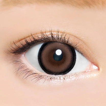 Angelcolor Bambi Series Honeymoon (DAILY/10P) - MASHED POTATO UK | Colour Contact Lens