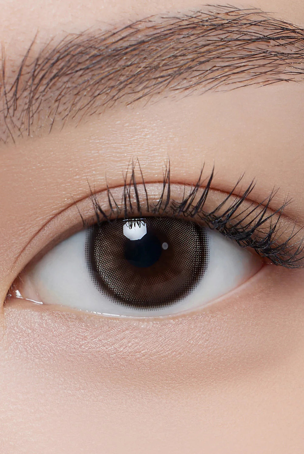 Hapa Kristin Dolly Kristin Choco (DAILY/10P)