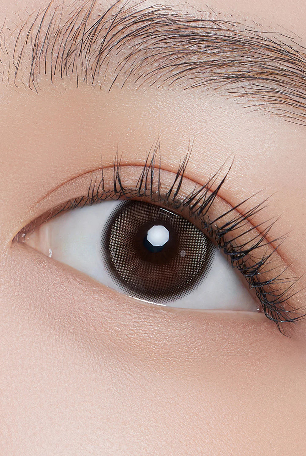 Hapa Kristin Dolly Kristin Choco (DAILY/10P)