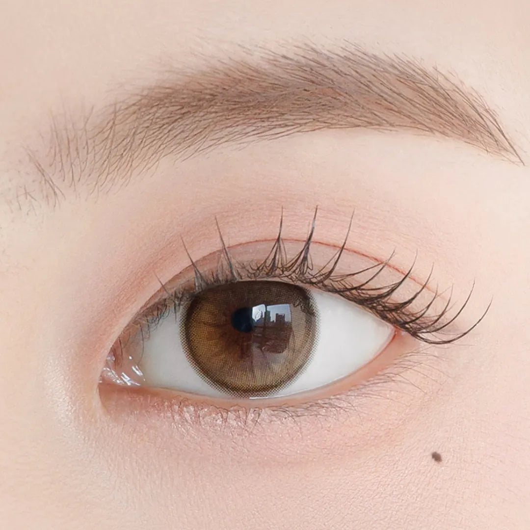 Chuu Lens Daisy Shower Pure Brown (Month/2P) - MASHED POTATO UK | Colour Contact Lens