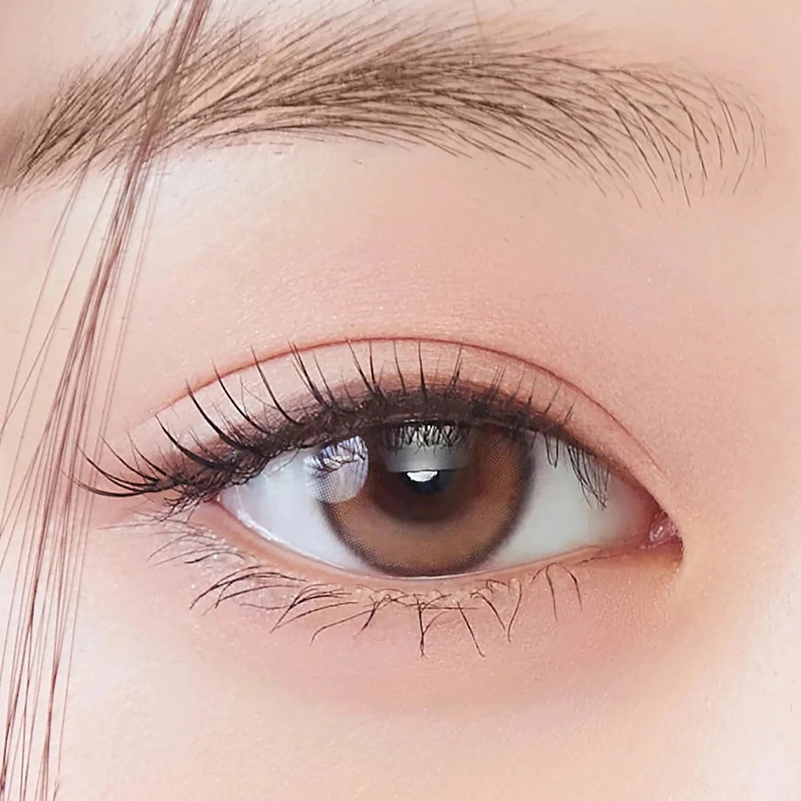 Hapa Kristin Dewy Kristin Brown (DAILY/10P) - MASHED POTATO UK | Colour Contact Lens