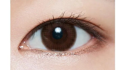 envie Merim Brown (MONTH/2P) - MASHED POTATO UK | Colour Contact Lens