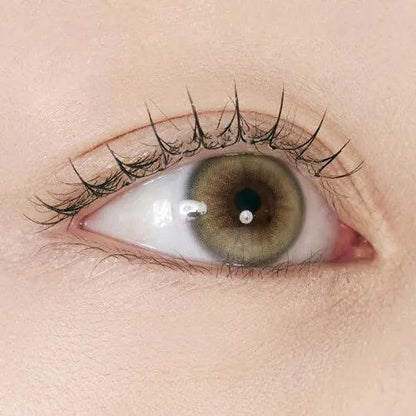 iDOL Bad Cat Siamese Beige (YEAR/1 Piece) - MASHED POTATO UK | Colour Contact Lens