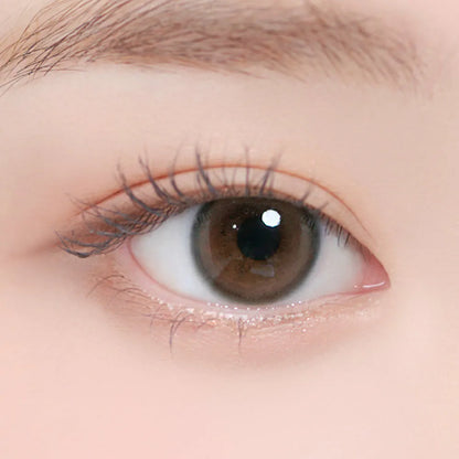iDOL Eyeis Ash Brown (YEAR/1 Piece)
