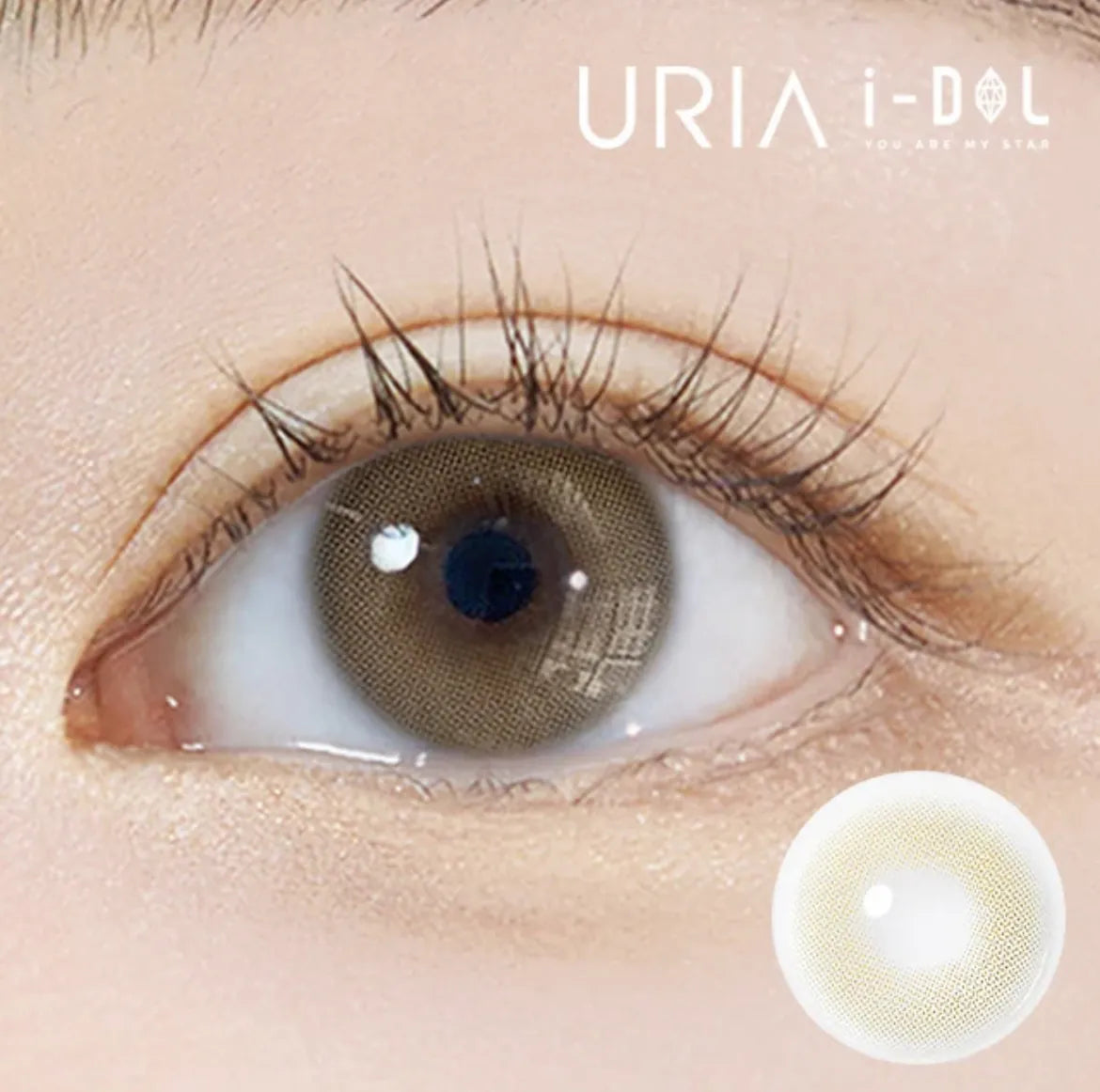 iDOL Euroring Mel Beige (YEAR/1PC) - MASHED POTATO UK | Colour Contact Lens