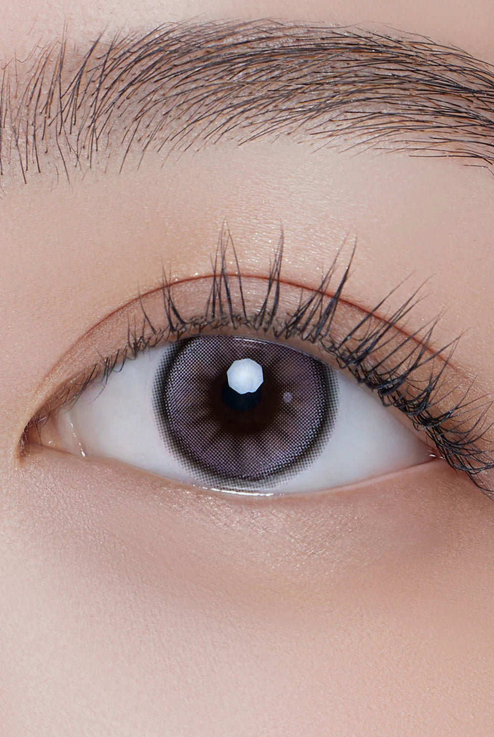 Hapa Kristin Dolly Kristin Lavender (DAILY/10P)