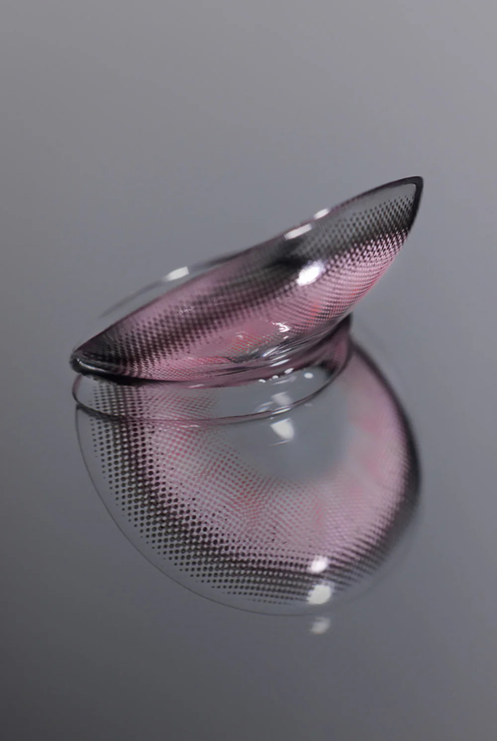 Hapa Kristin Dolly Kristin Lavender (DAILY/10P)