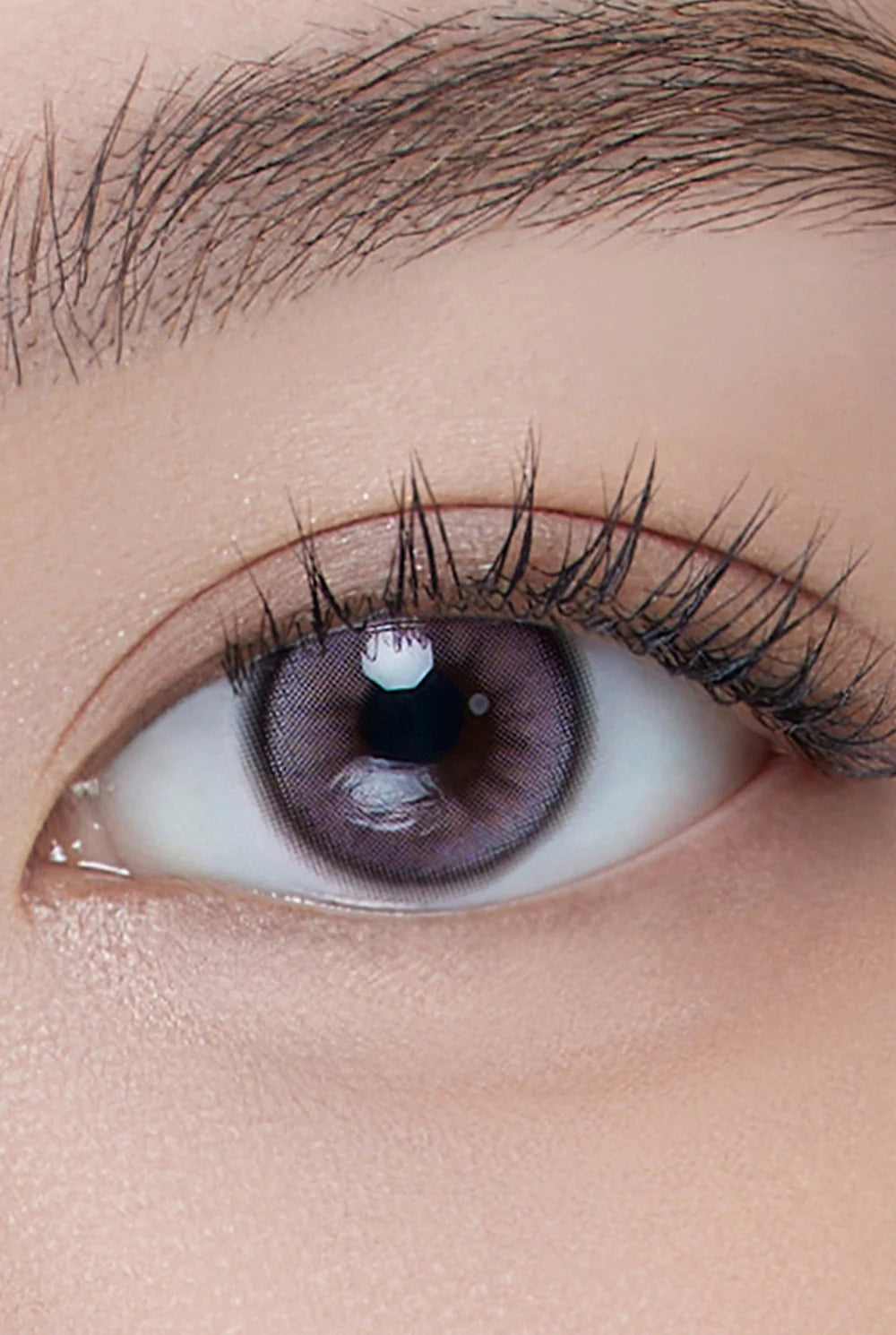 Hapa Kristin Dolly Kristin Lavender (DAILY/10P)