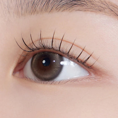 Hapa Kristin Bean Kristin Medium Brown (DAILY/10P)
