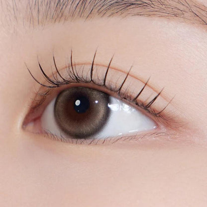 Hapa Kristin Bean Kristin Raw Brown (Month/2P) - MASHED POTATO UK | Colour Contact Lens