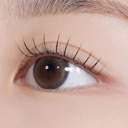 Hapa Kristin Bean Kristin Short Brown (Month/2P) - MASHED POTATO UK | Colour Contact Lens